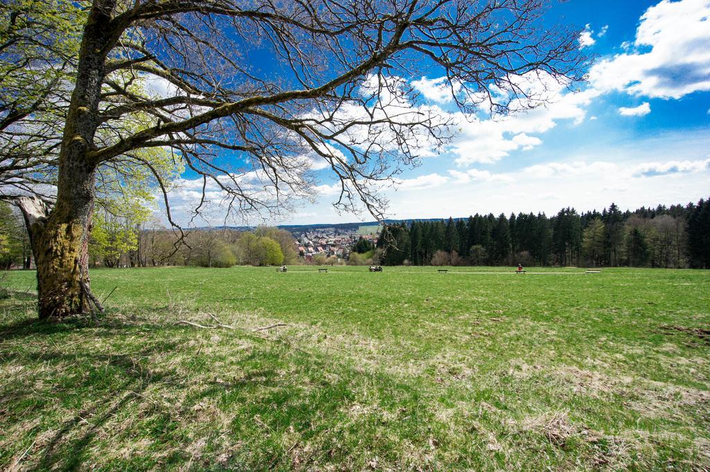Pension Winkel Braunlage Esterno foto